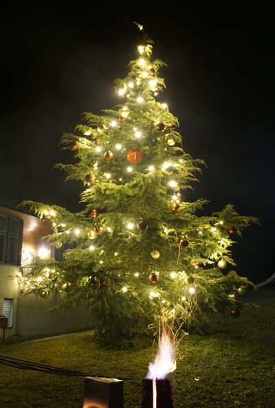 Adventsfenster 2019